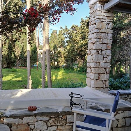 Kiki'S Apartment Veranda Dream Χρυσή Ακτή Εξωτερικό φωτογραφία